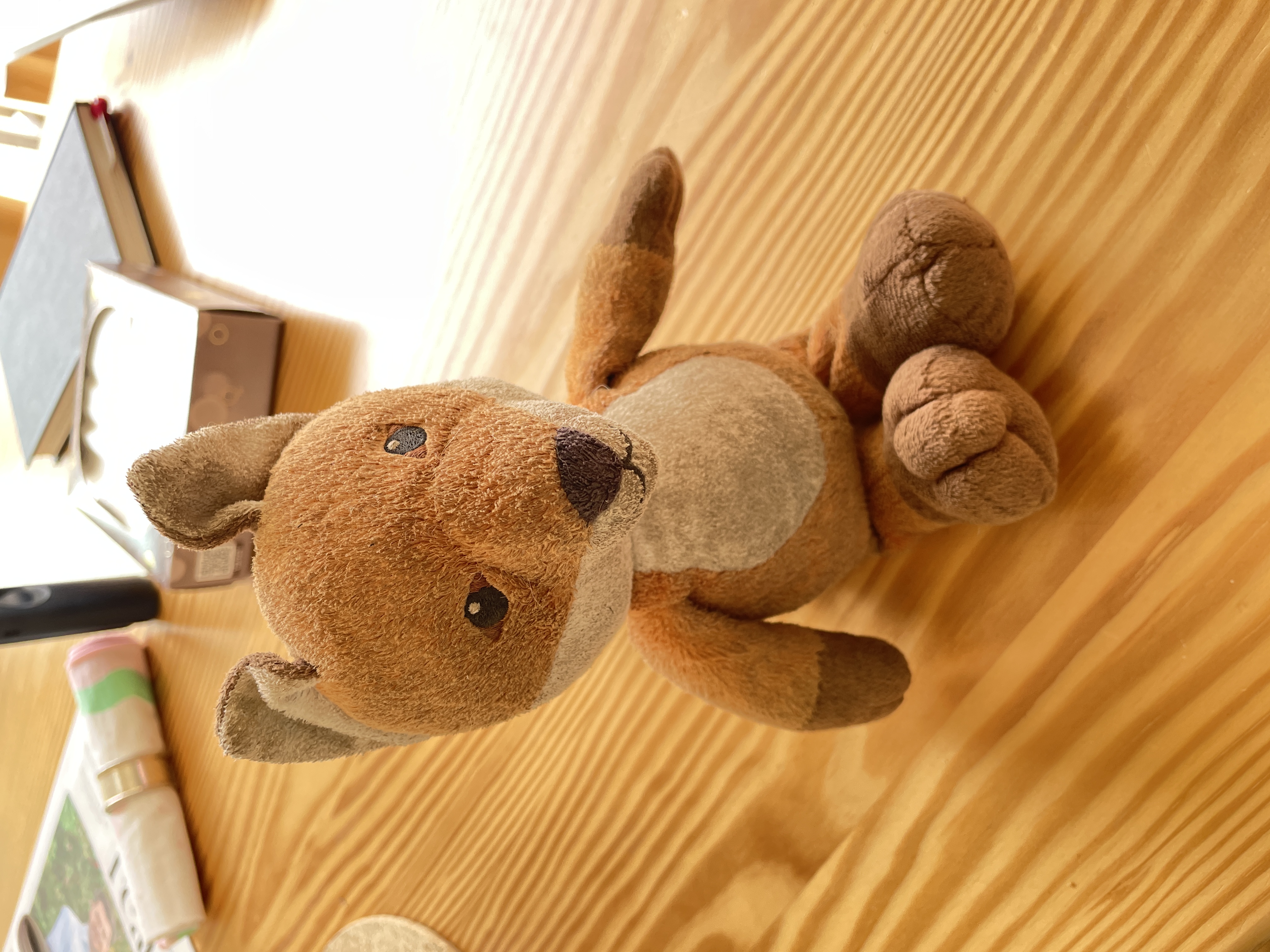 Toy Fox
